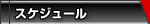 スケジュール