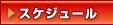 スケジュール